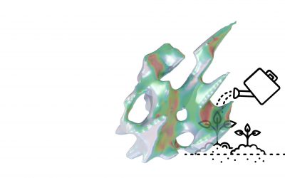 Crea tu huerta ecológica