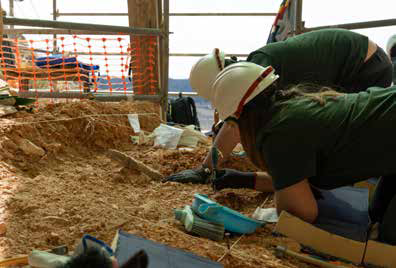 Trabajos de excavación en el yacimiento de Quibas durante la campaña de 2024.
yacimiento de quibas lince