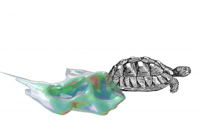 La otra casa de la tortuga mora