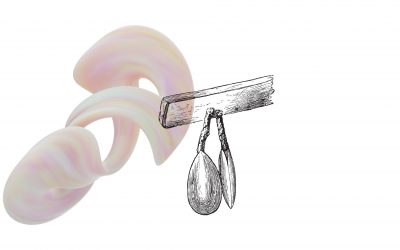 Fósiles y mentiras de pata corta