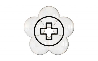¿Qué es Una Sola Salud (One Health) y por qué es importante?
